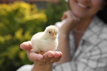 Woman with cute chick outdoors, selective focus