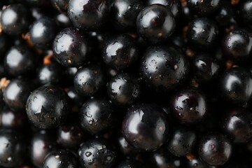 Ripe black currants as background, top view
