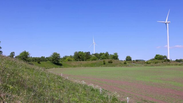 Flowering meadow on a esker by a green field and wind turbines in the country landscape