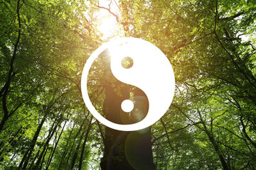 Yin and yang symbol against sunlit tree in nature