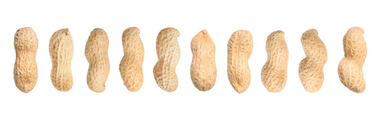 Many peanuts in pods isolated on white, set