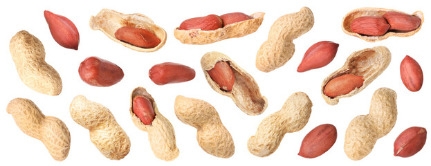 Many different peanuts isolated on white, set