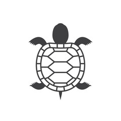 Obraz premium Turtles are animals belonging to the reptile group.