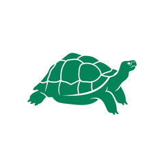 Turtles are animals belonging to the reptile group.