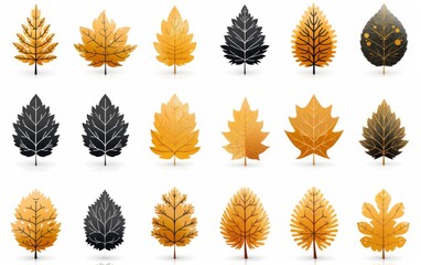 Watercolor, graphics, paintings, set of leaves, many different seasons, separated against a white, transparent background.