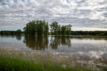 Flooded Creek and Des Moines River From River Road, Green Trees Reflected in Flood Water, Windom Minnesota, June 2024 Historic Flood