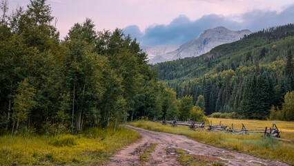 Summer wildflower meadow in the scenic valley near Crested Butte, Colorado.