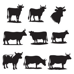 set of cows silhouettes on white	