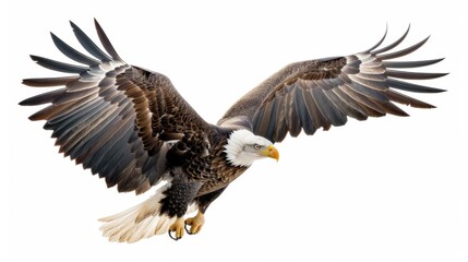 Naklejka premium A striking image of a bald eagle captured in mid-flight with its strong and broad wings spread wide-open, displaying its formidable presence in the wild.