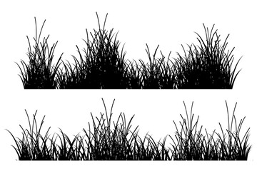 grass silhouette vector. grass border illustration