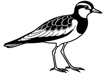 lapwing silhouette vector illustration