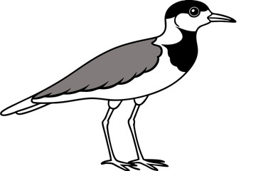 lapwing silhouette vector illustration