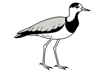 lapwing silhouette vector illustration