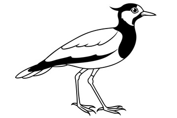 lapwing silhouette vector illustration