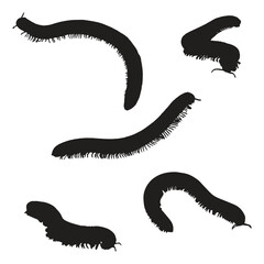 Millipede Silhouette Vector Illustration Bundle