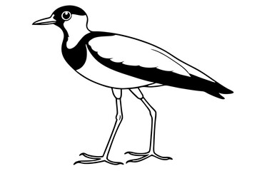black crowned crane