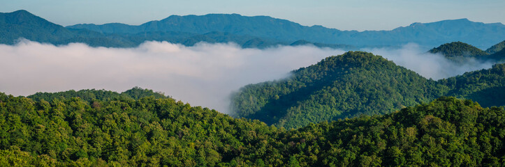 Banner Beautiful Mountain landscape foggy mountain green landscape morning sunrise. Amazing Landscape mountain green tropical forest tree on sunrise. Banner forest sunlight scenery with copy space