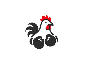 rooster isolated on white