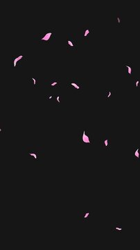 Loop Flying Sakura on Transparent Background. Blossom. Cherry. Alpha Channel