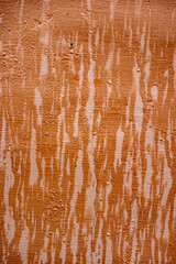 This high-resolution photo captures the intricate details of a rustic wall texture. The surface features a blend of rough and smooth areas, showcasing a natural, aged look with subtle cracks, 