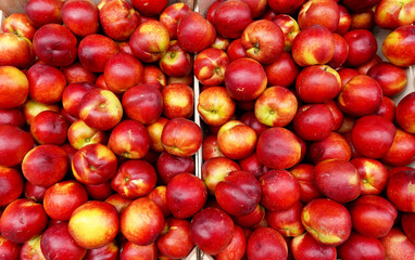 Lots of red apples on rack. Tasty and juicy. Background of apples. arrange neatly grocery store, fruit market, supermarket