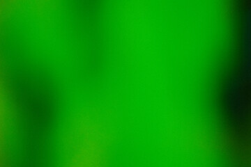 Grainy dark Green Color gradient abstract background, noise texture effect