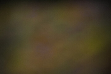 Grainy dark yellow Color gradient abstract background, noise texture effect
