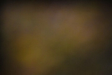 Grainy dark yellow Color gradient abstract background, noise texture effect