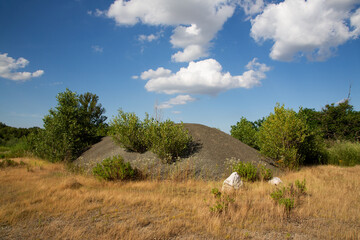 Overgrown plants on gravel heap in abandoned industrial site