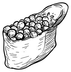sushi handdrawn illustration