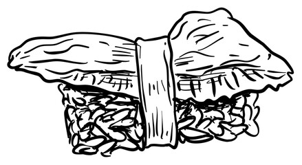 sushi handdrawn illustration