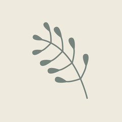 Hand Drawn Botanical Chic Bohemian Shape Vector Element