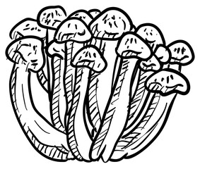mushroom handdrawn illustration