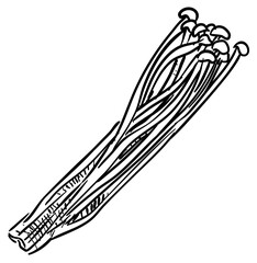 mushroom handdrawn illustration