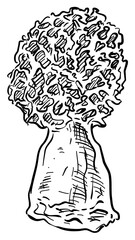mushroom handdrawn illustration