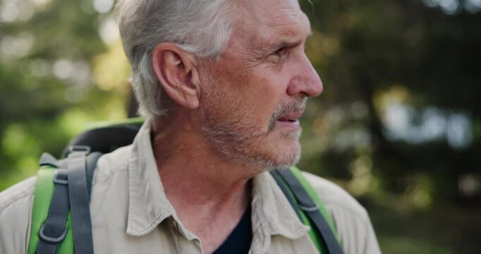 Lost, forest and senior man for direction fail with camping holiday, phone search and online gps for hiking adventure. Nature park, elderly guy or look for mobile map and digital location in Brazil
