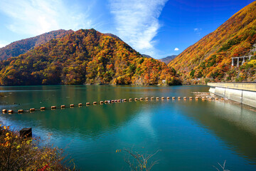 素晴らしい紅葉に染まる水殿ダム。
紅葉に染まる梓川沿いの山道を車で登ってゆく。

日本国長野県松本市 - 2021年11月6日。
