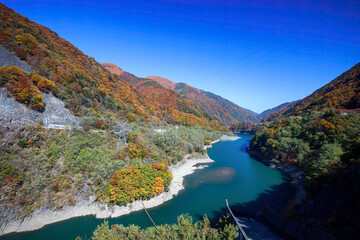 素晴らしい紅葉に染まる水殿ダム。
紅葉に染まる梓川沿いの山道を車で登ってゆく。

日本国長野県松本市 - 2021年11月6日。

