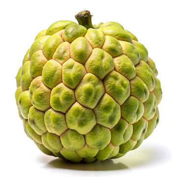 Atemoya fruit isolated on white background.