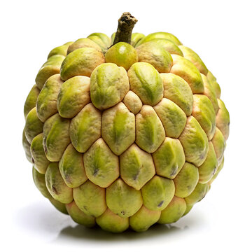Atemoya fruit isolated on white background.