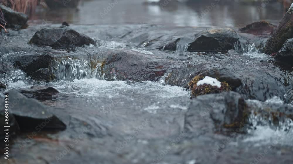 Poster clear stream flowing over rocks in a serene forest setting