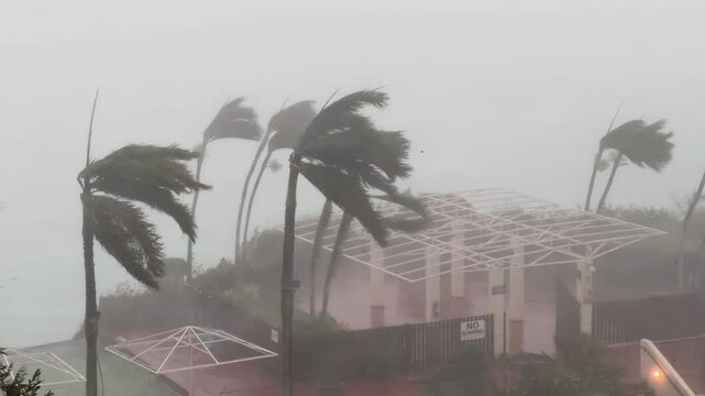 Powerful Wind And Torrential Rain Inside A Major Hurricane - Mawar