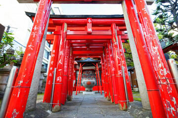 松本駅近くの浄林寺と瘡守稲荷。
赤い鳥居と見事な山門が印象的。
山門には「清水山」と書かれている。
美しい長野の中核都市、松本市を歩く。
日本国長野県松本市 - 2021年11月7日。
