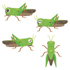 バッタセット