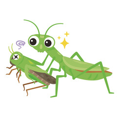 バッタを捕食するカマキリ