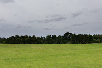 Beautiful atmospheric meadow scenery in overcast day. Natural summer landscape of rural Latvia.