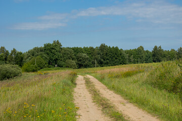 Beautiful atmospheric meadow scenery in overcast day. Natural summer landscape of rural Latvia.