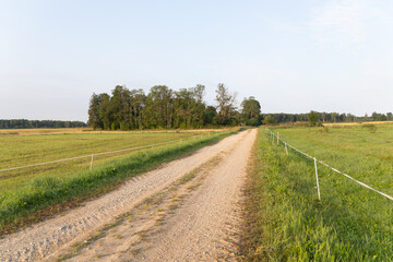 Beautiful atmospheric meadow scenery in overcast day. Natural summer landscape of rural Latvia.
