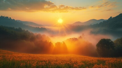 Sunrise Over Misty Valley with Wildflowers