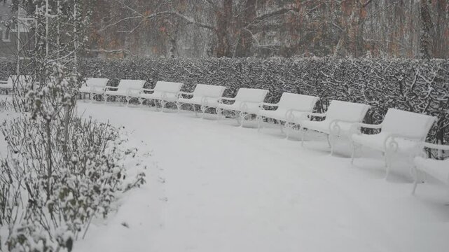 The rose garden in Petrin Park is beautifully covered with snow, lightly blanketing benches, trees, and flowerbeds.